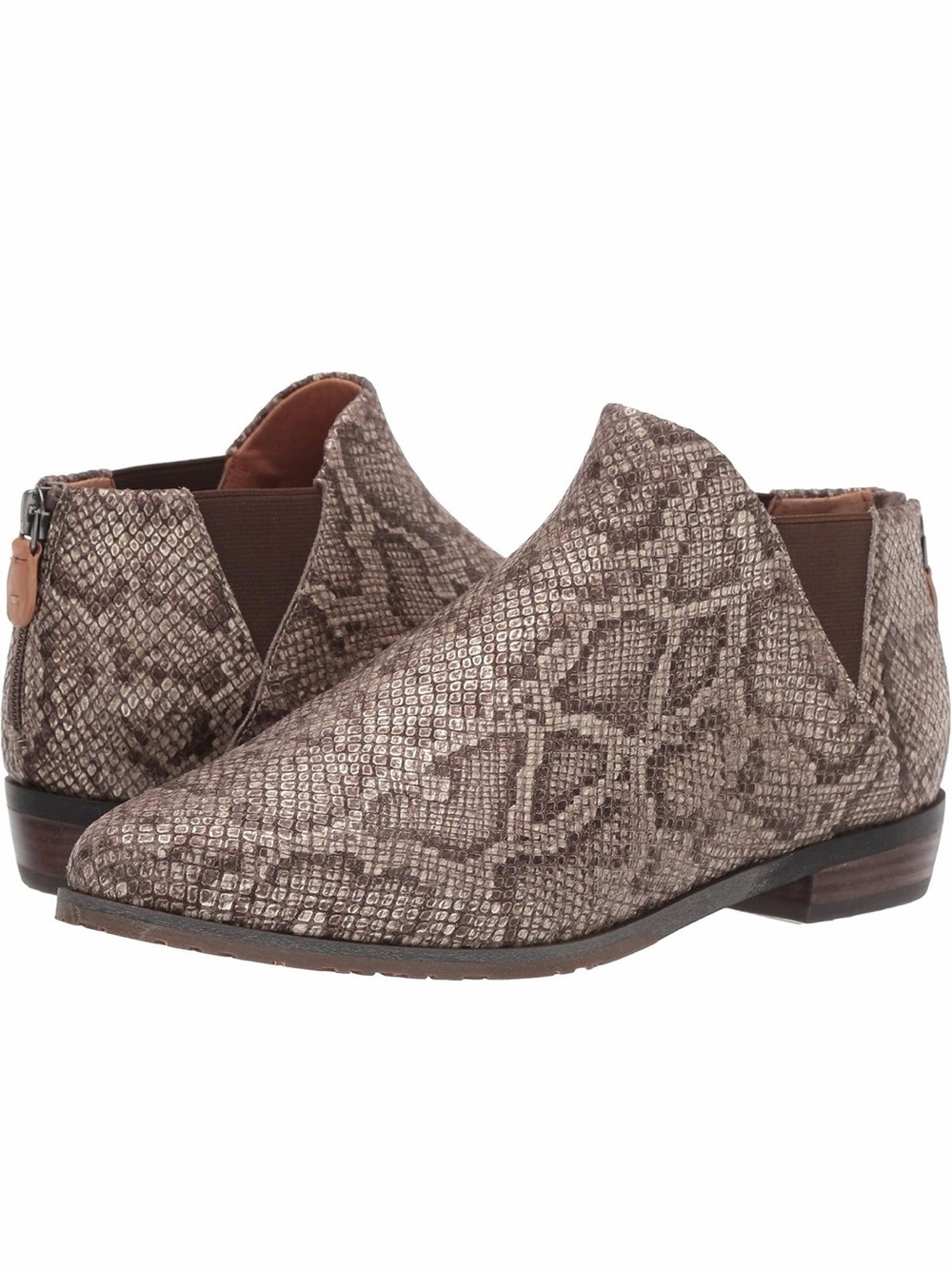 Gentle Souls Neptune Snakeskin Leather Chelsea Booties 7.5 $180